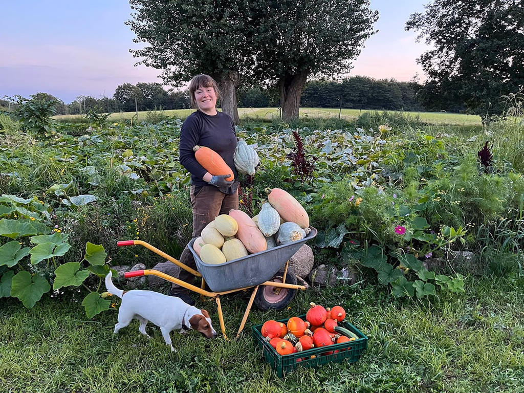 Anne med friskplukket grønt fra Egebjerggård Grønts gravefrie køkkenhave