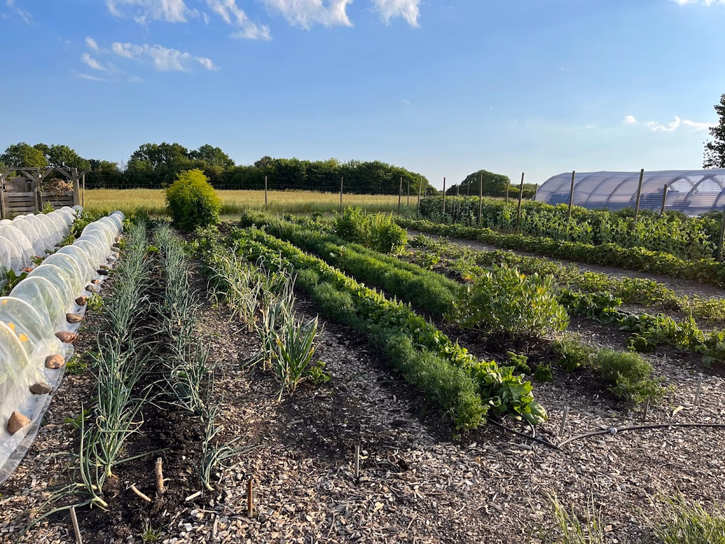 Workshop for gruppe hos Egebjerggård Grønt